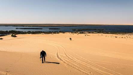 Enjoy the private boat tour to Al Asfar Lake surrounded by rich vegetation