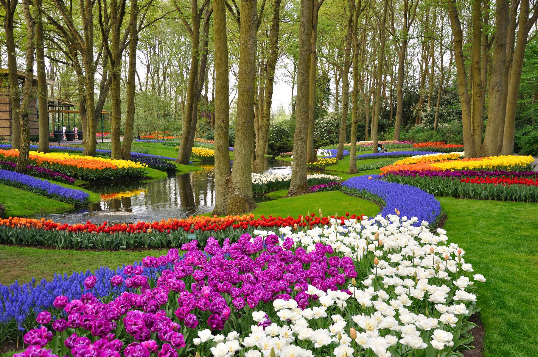 Keukenhof Tickets Image