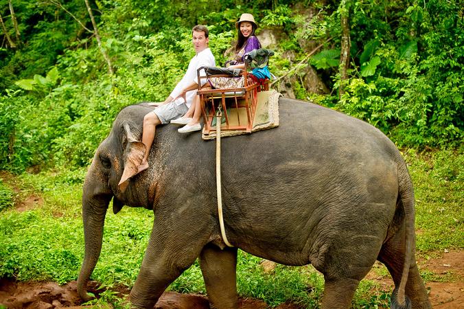 Nosey Parker's Elephant Camp