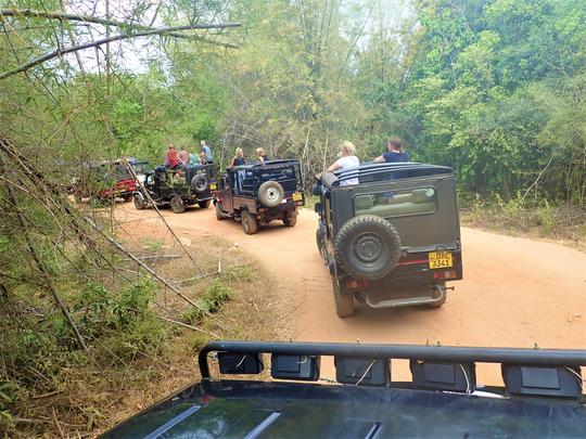 3 Days Jim Corbett Tour Package Image