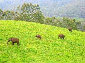 Idukki Wildlife Sanctuary