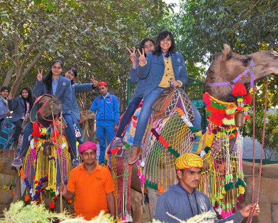 Hop on the ship of the desert for a ride