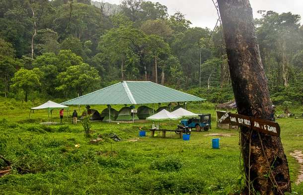 Discover the peaceful ambiance of a lush green environment