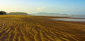 Lrqyw5vhkcc8yxq6nvb5w0s5mloo 1576668153 cover