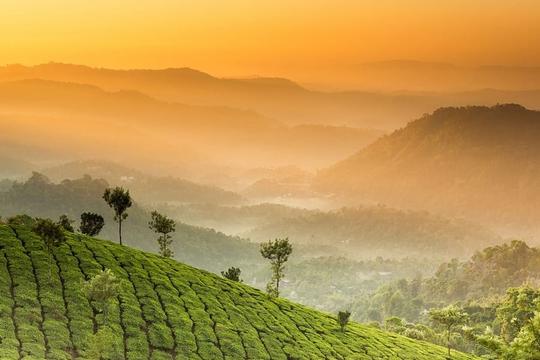 Kerala Honeymoon Package for 3 Nights 4 Days Image