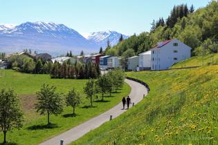 Lx1loin4u26z4g5z8q3bwrbw9k3x kufpaoop55zilzoohrqy