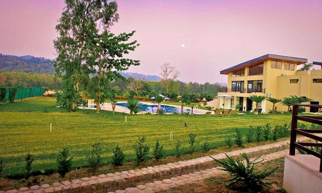 The Golden Tusk Image