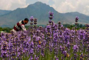 M0hjiisetvej4ieas5kom454yubn collage maker 06 aug 2022 01.42