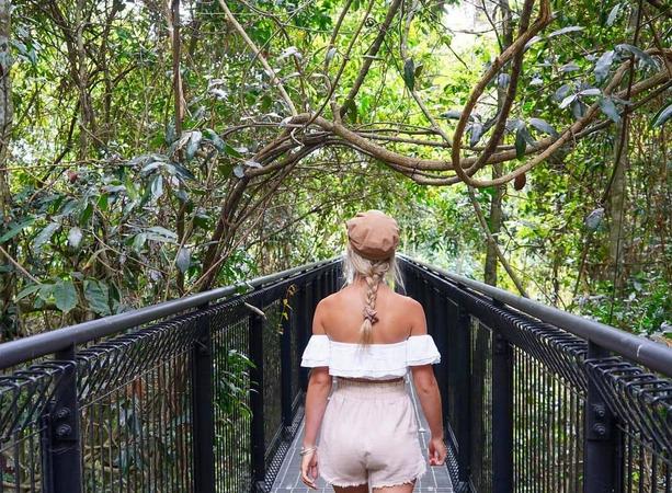 Tamborine Rainforest Skywalk