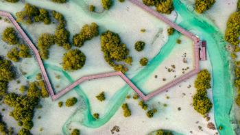 M1u9hfy2h3661xhrubw1fmvv35jt shutterstock 1955976643