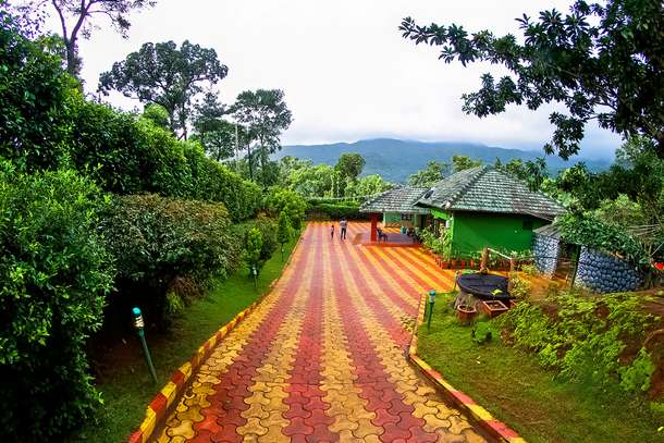 M2bekc7a6y1qa9to1j9jcfj9wpyy 1583674607 tusker foot 2923