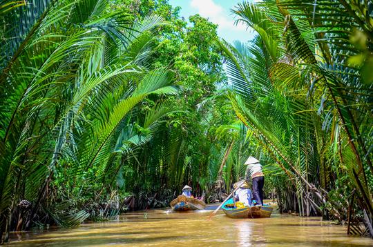 Cu Chi Tunnels and Mekong Delta Tour Image