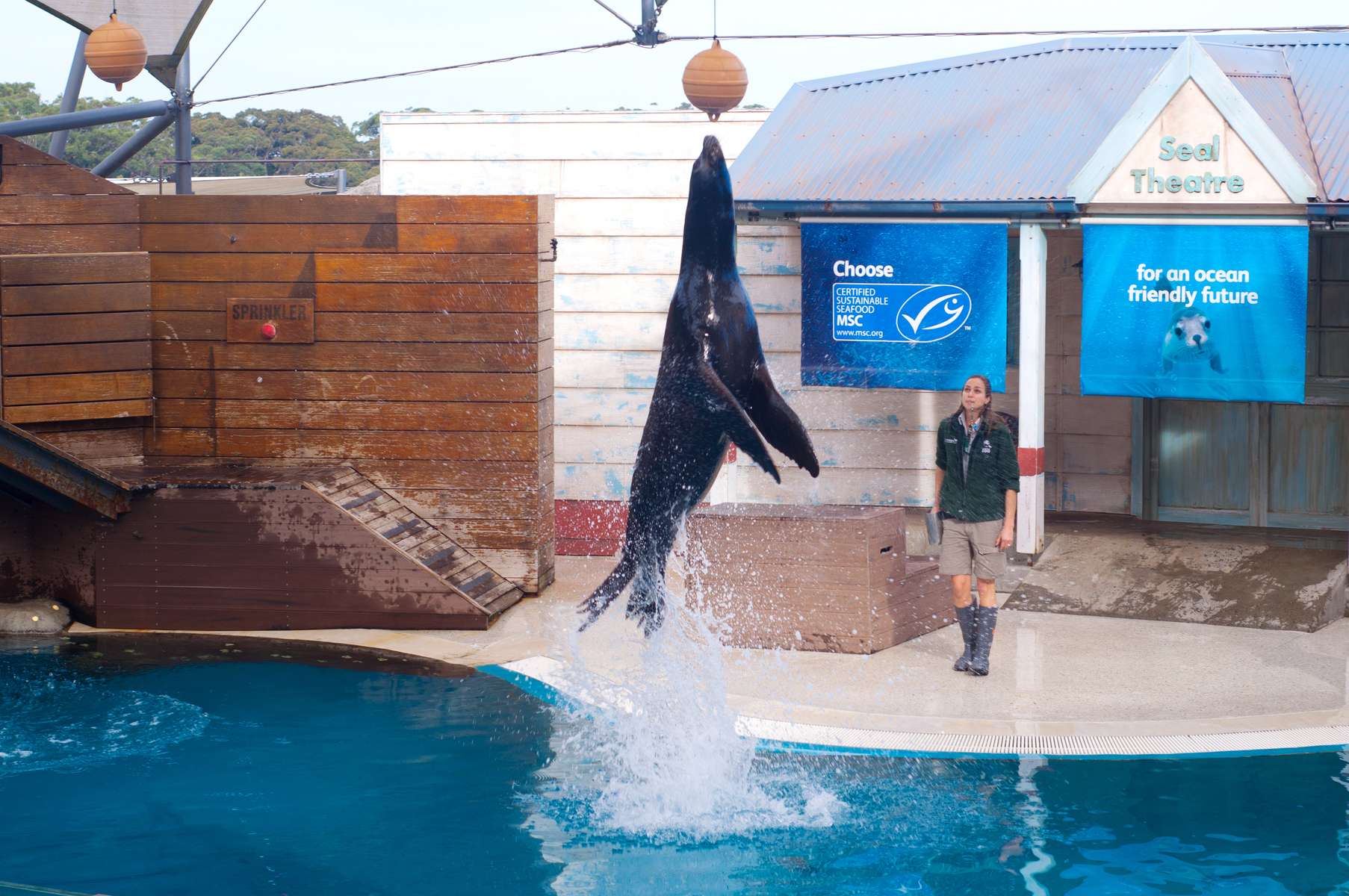 Taronga Zoo Tickets Image