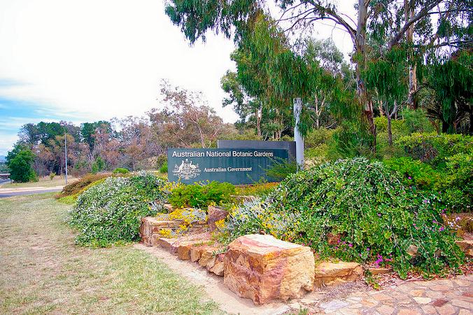 Australian National Botanic Gardens