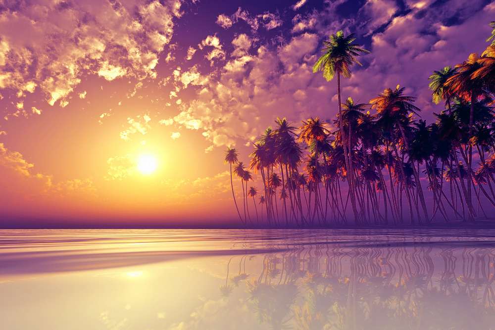 Beautiful Fiji Islands Holiday Package Image