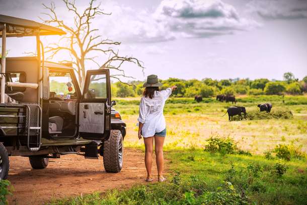 M4f3oolocpb7ve81vcttnnpz06vc shutterstock 2471550769