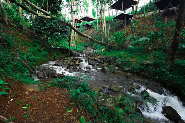 M5cydn22utv4ms43cylltor85l15 wild%20valley%20resorts%20in%20sakleshpur