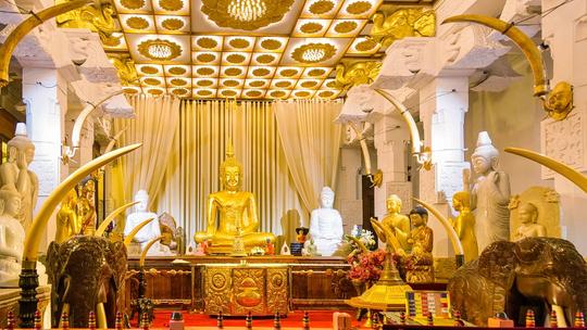 Kandy City Tour  Image