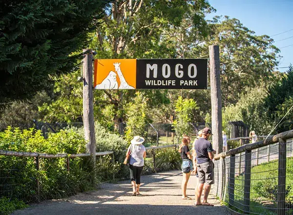 Mogo Wildlife Park