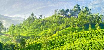 Mdcijtbsbsgmt3mlqqvubq6xkhs4 1502717548 munnar preset2.jpg