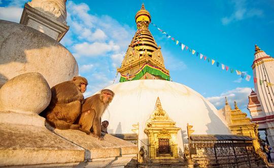 8 Days Sightseeing Tour of Nepal  Image