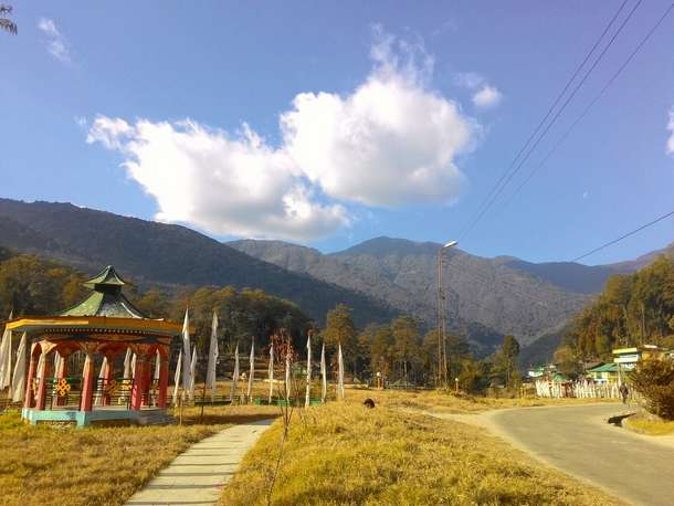 Me7z8bnnvm0l08316nx94ccjmq0f 1470208510 4