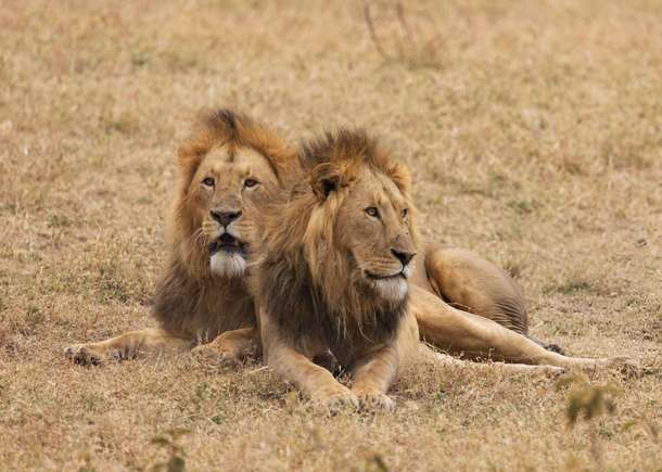 Medy3u7u41yh1lkioonl6ntwwq76 dl.beatsnoop.com 3000 6hvqlway0m