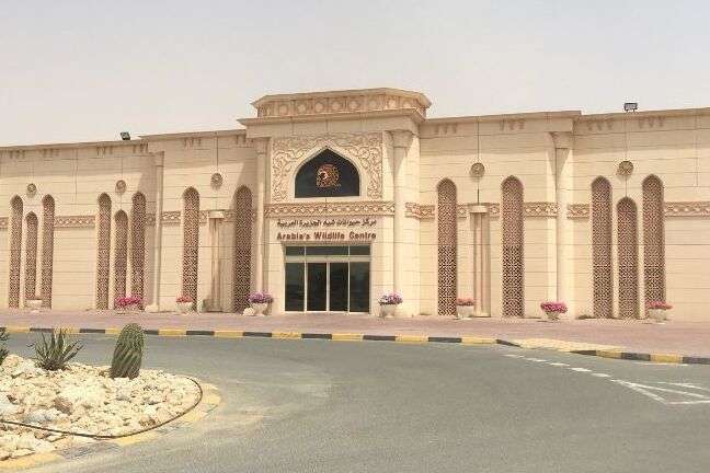 Arabia's Wildlife Centre 