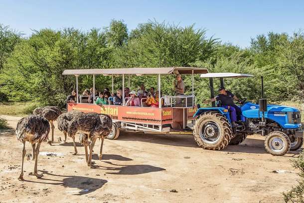 Safari Ostrich Farm Tractor Tour