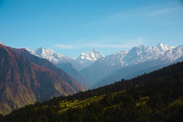 Mfep31wkxtq8fjgpitdwbv8518rz shutterstock 2423997965