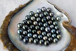 Mfm08eojpa2z1xo380vj2bkhz7fx 1615616329 shutterstock 156805445