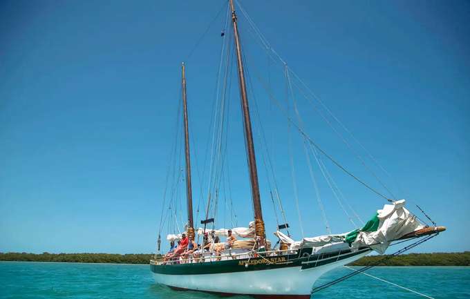 Kayak Tours Key West Book Now