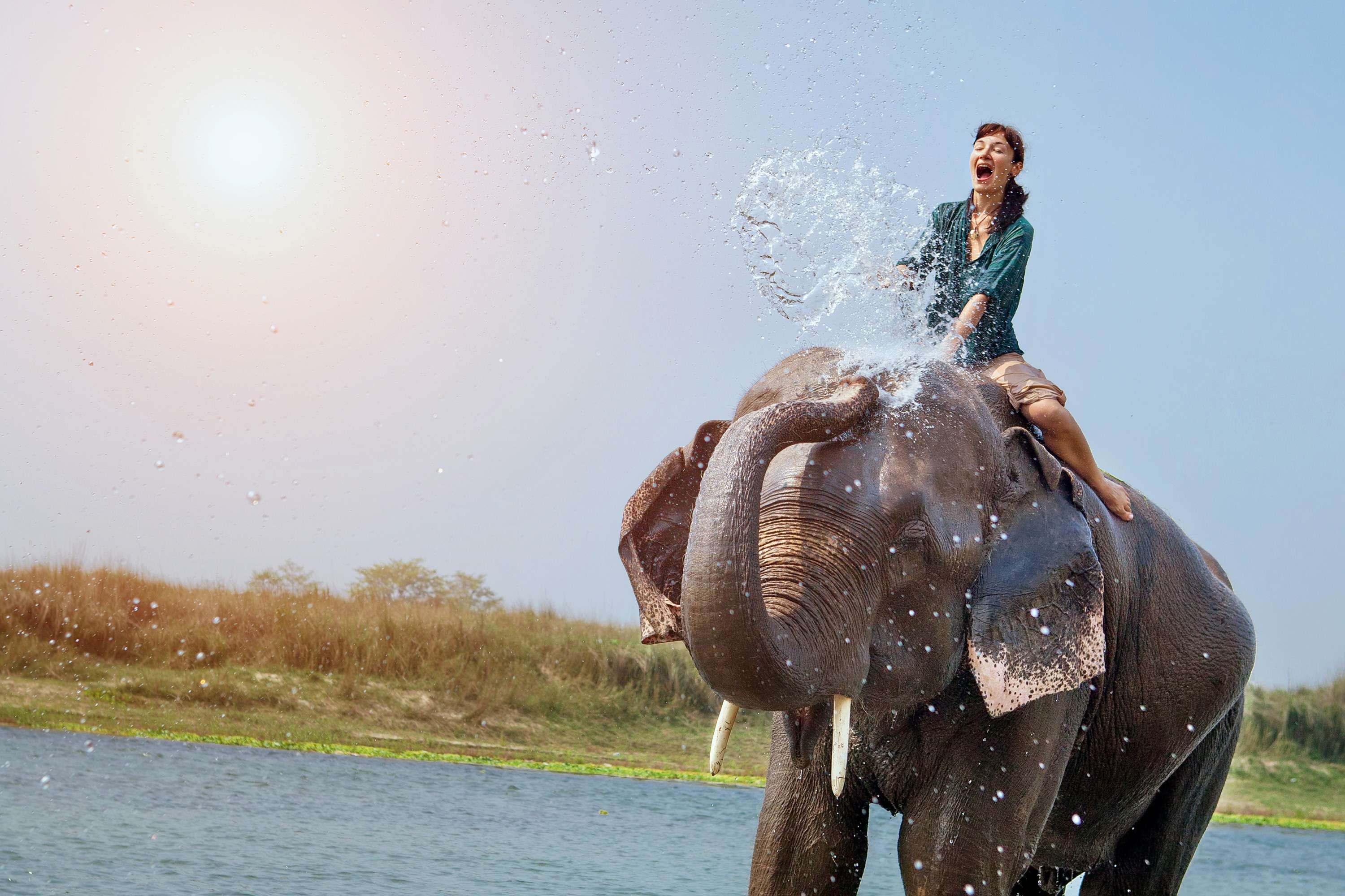 Exciting Elephant Safari Ride in Bali