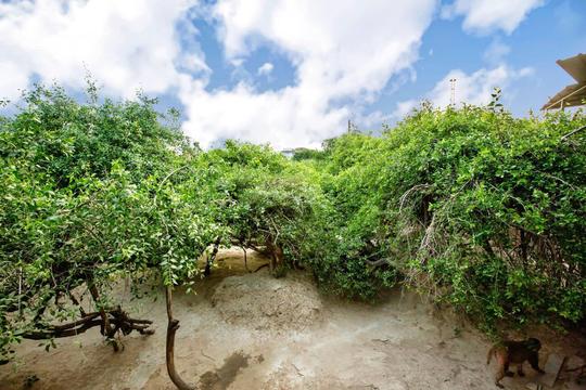 Jaipur to Vrindavan Day Trip Image