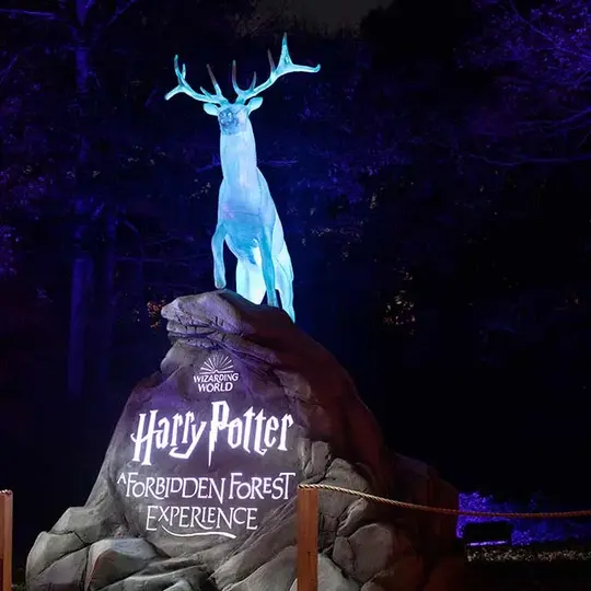 Harry Potter - A Forbidden Forest Experience Tickets Image