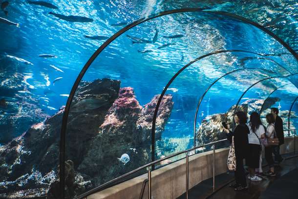  Aquarium Barcelona