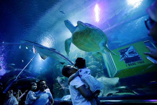 Aquaria KLCC Tickets Image