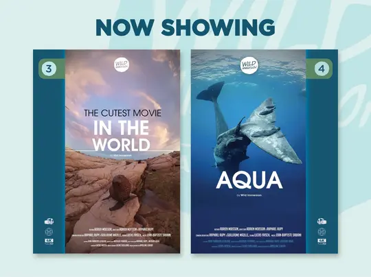 Wild Immersion Virtual Reality Experience at Penang Hill Image