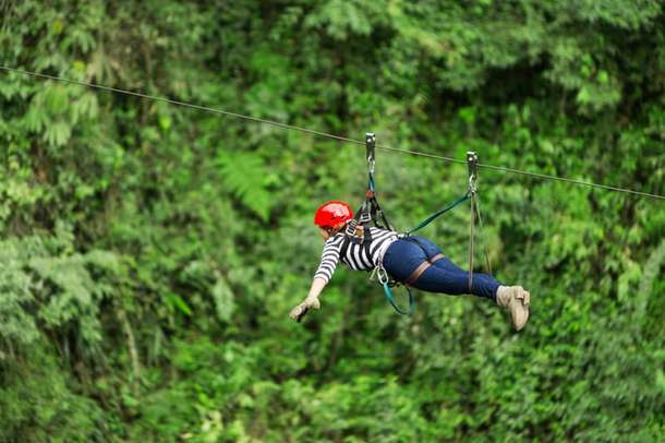 Ml42fx6ctmwtoq7qr48bkzhjz0yh ptmimp29c29mrz3c5courtq839hw shu