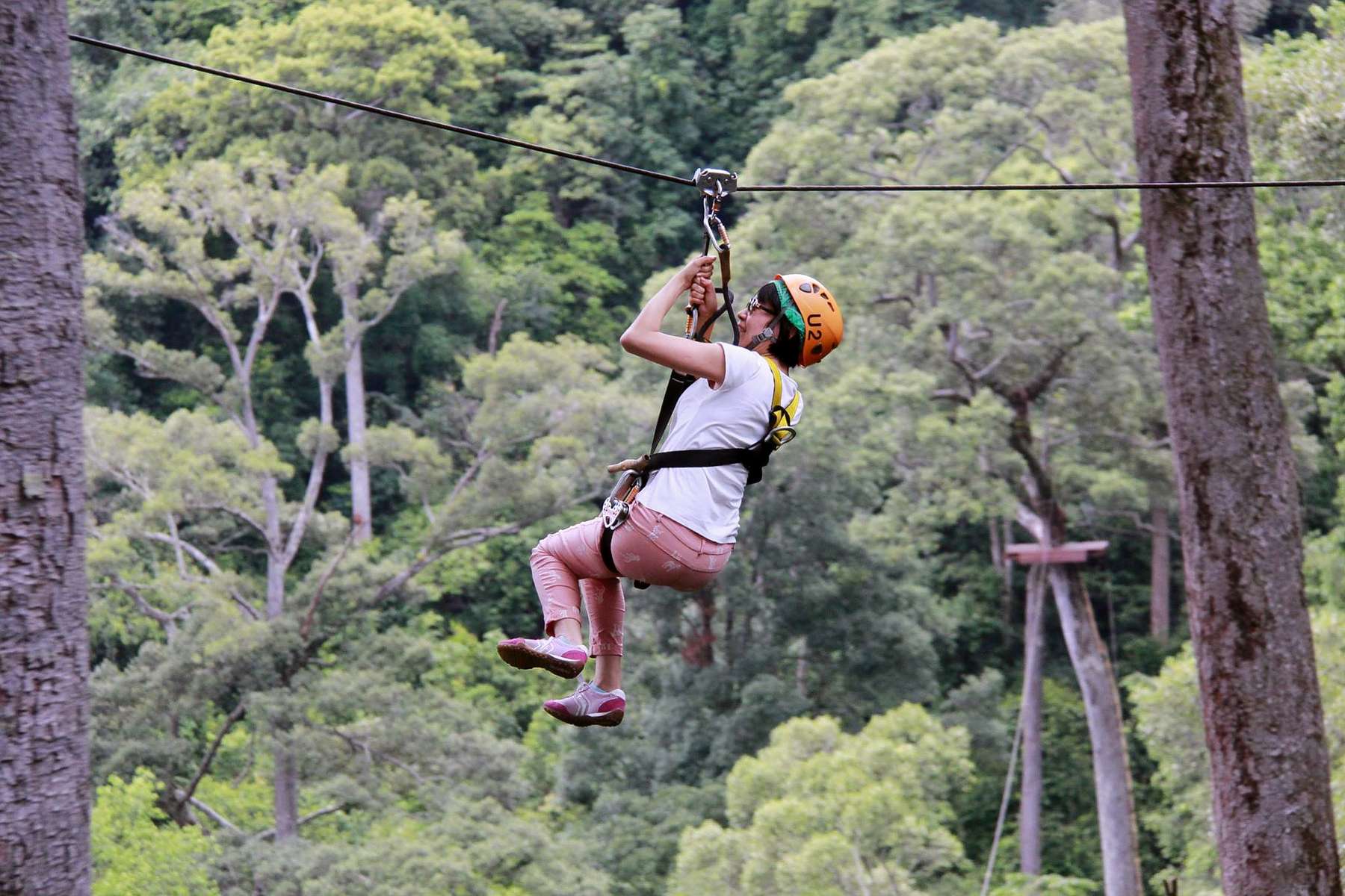 Jungle Xtrem Adventure Park Image