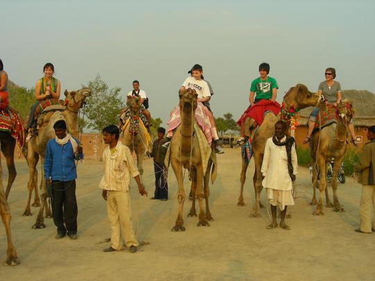 Bishnoi Village Camp and Resort Image
