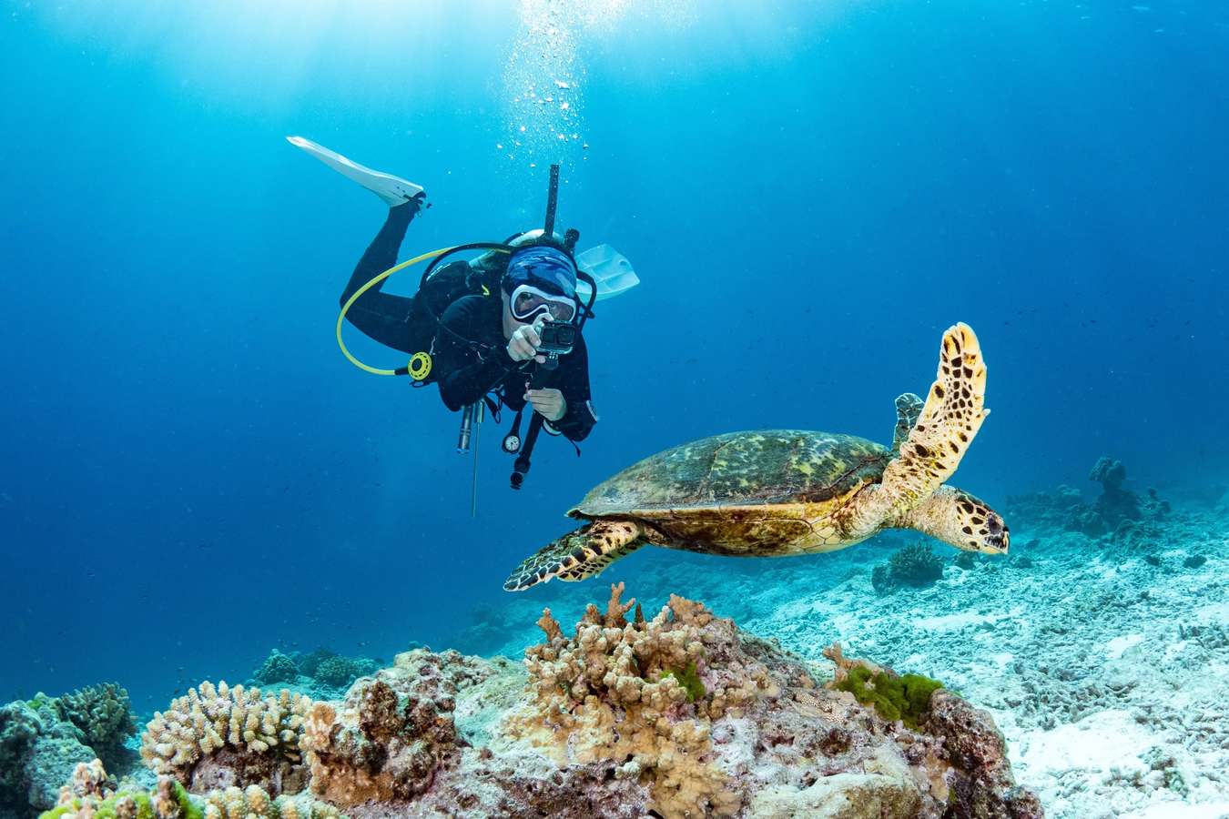 Enjoy 30 minutes of shore scuba diving in Andaman and explore the aquatic world