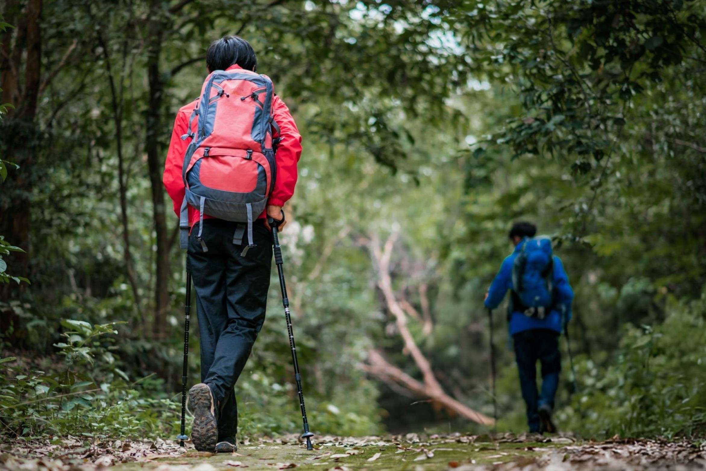 Shenbaga Devi Falls Trek, Tamil Nadu