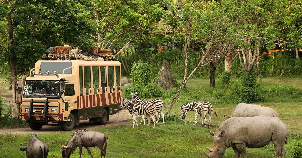 Dubai Safari Park Tickets Image