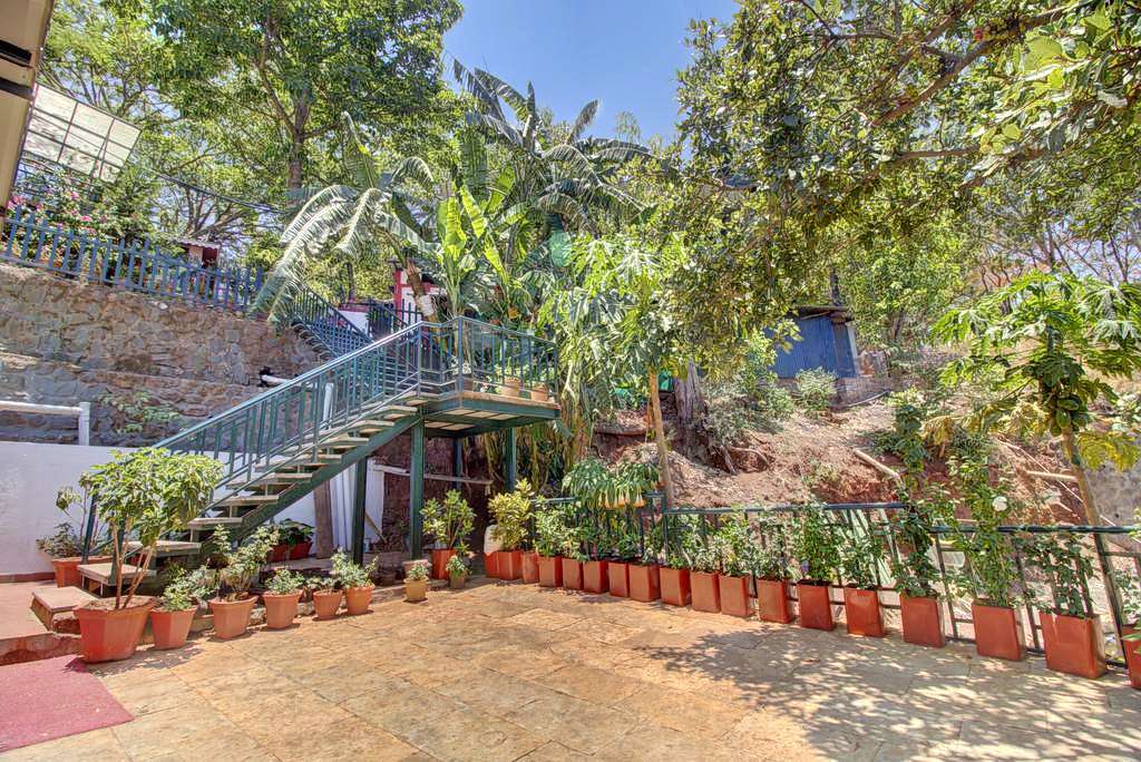 Rainforest Panchgani Image