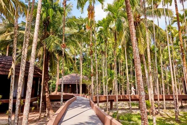 Mqbxg424ifvsxjrgj4trl1dok59d 1592572033 cq5dam.web.756.756