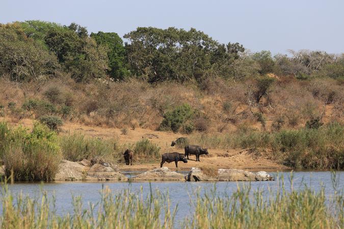 Mount Kenya National Park