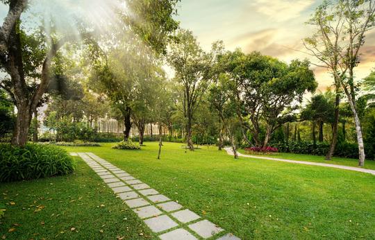 Rosetta by Ferns Sakleshpur Image