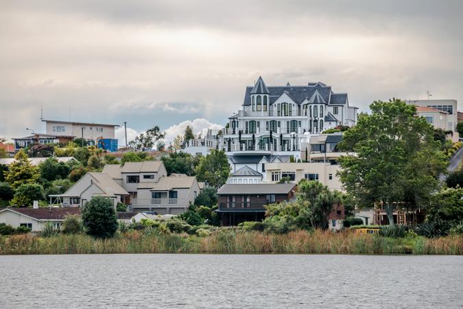 Hamilton Lake Domain