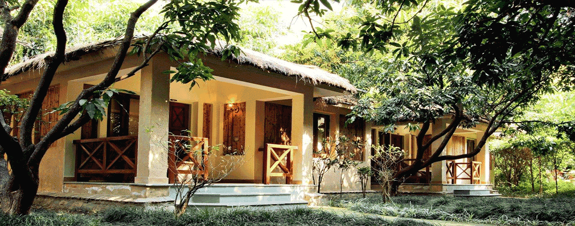 Tiger Camp Resort Image